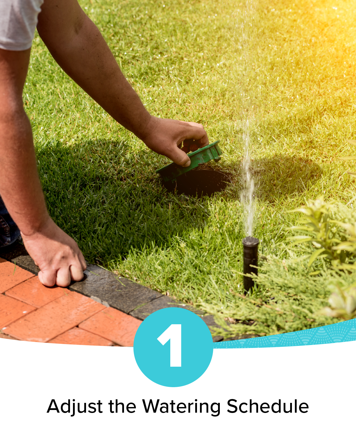 Irrigation_Fall Check-up Blog + Social Images_Social_1200x1500_B.png