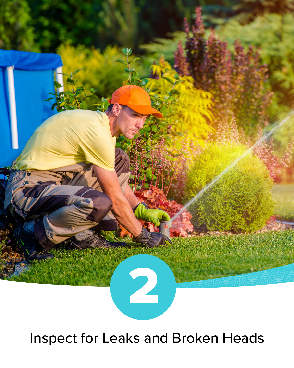 Irrigation_Fall Check-up Blog + Social Images_Social_1200x1500_C.png