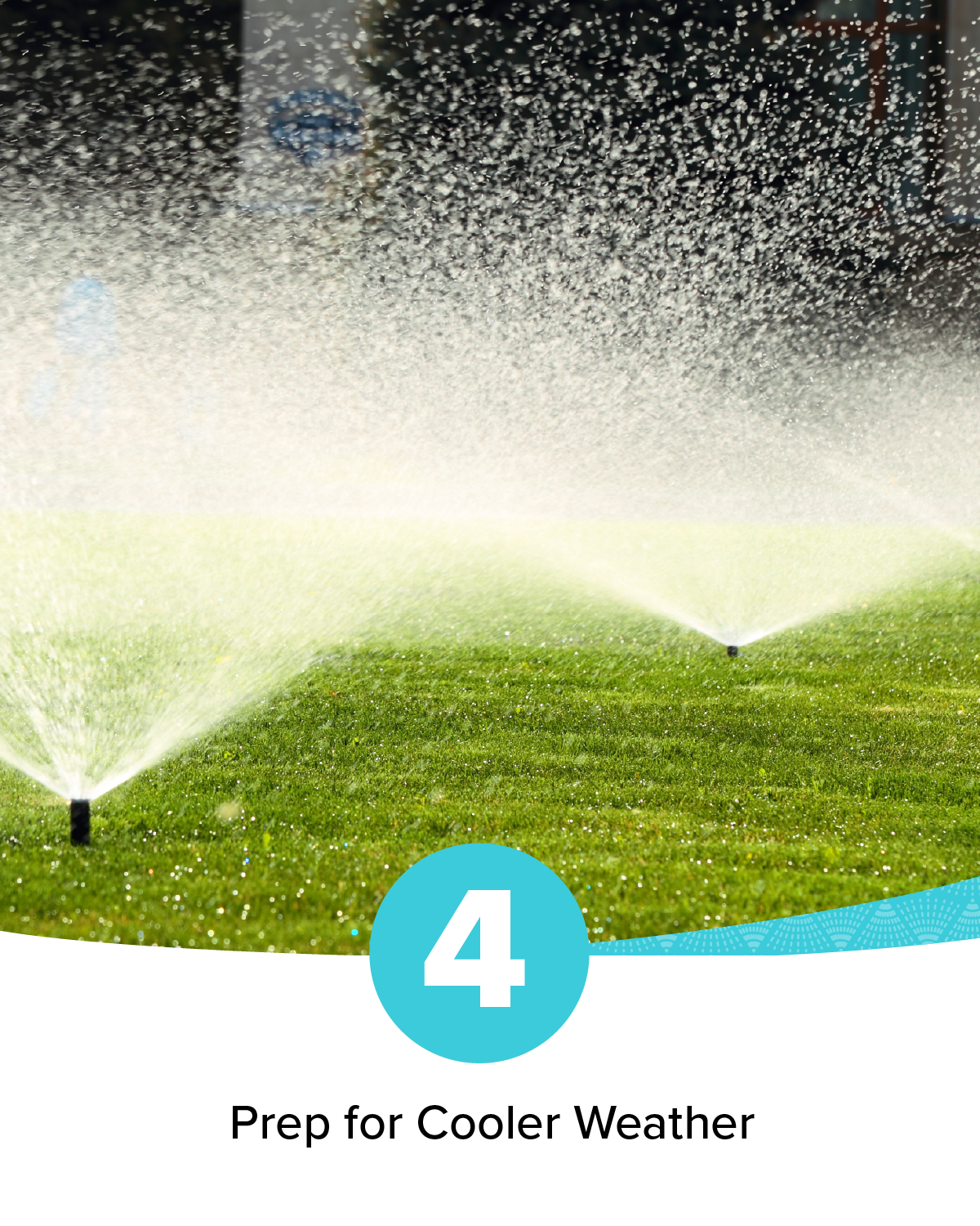 Irrigation_Fall Check-up Blog + Social Images_Social_1200x1500_E.png